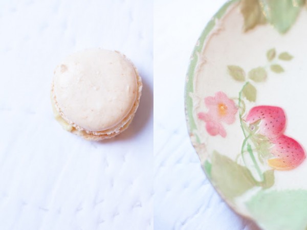 { Barbottine&Macarons }