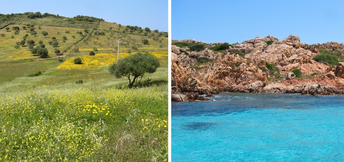 {My special places: Albero Capovolto}