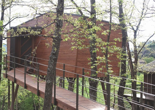 {My special places: La Suite sull'Albero}